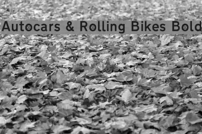 Autocars & Rolling Bikes Bold Polices examples