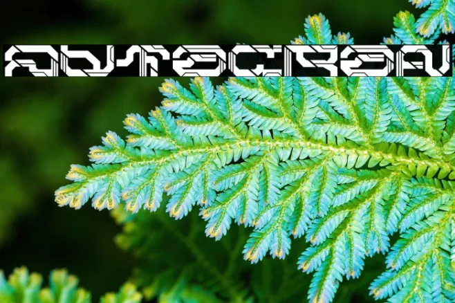 Autocron Example 1