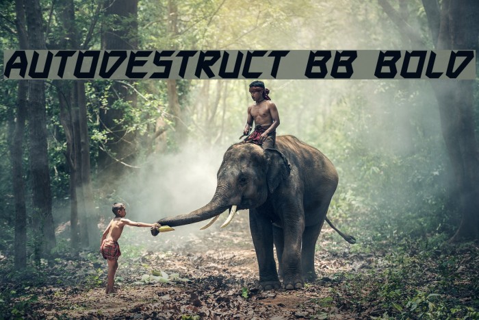 Autodestruct BB Bold Font examples