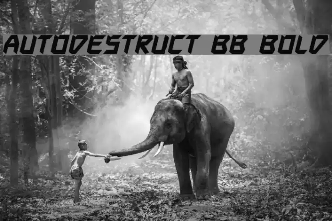 Autodestruct BB Bold Fonte examples