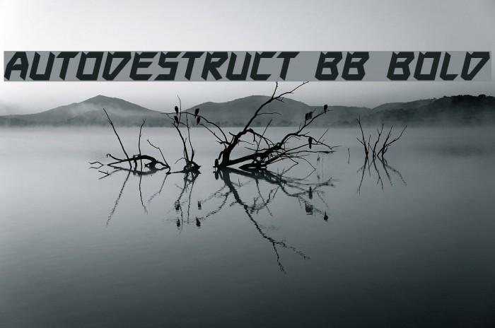 Autodestruct BB Bold Font examples