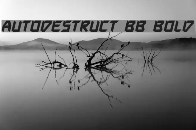 Autodestruct BB Bold Fonte examples