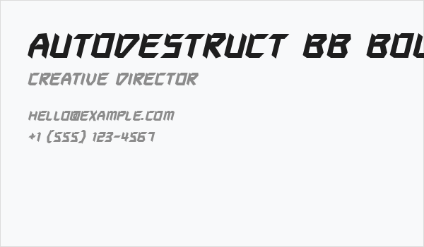 Autodestruct BB Bold Business Card