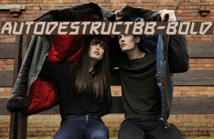 AutodestructBB-Bold Example 1