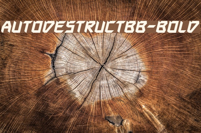 AutodestructBB-Bold Example 2