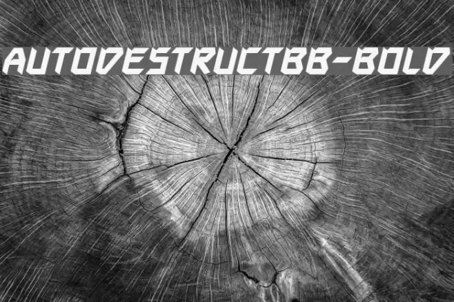 AutodestructBB-Bold Font examples