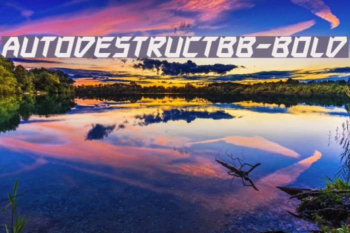 AutodestructBB-Bold Example 3