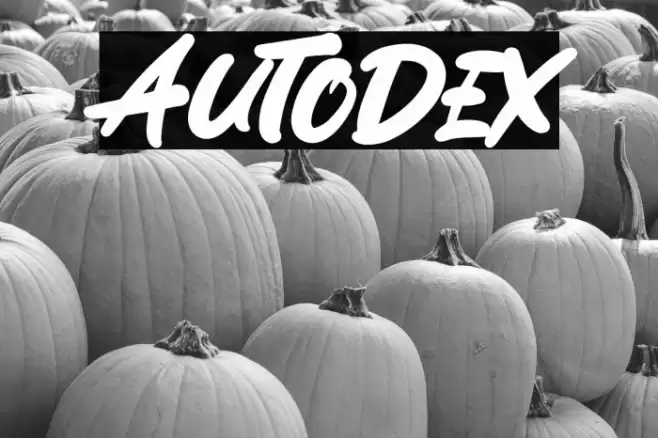 Autodex 字体 examples