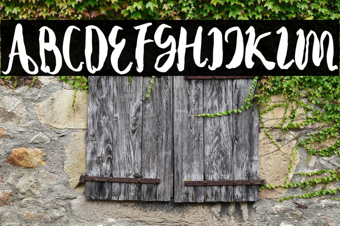 Autodidact Example 2