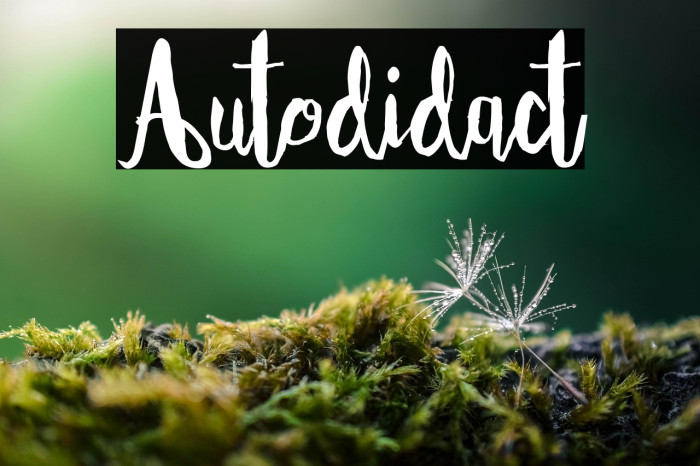 Autodidact Example 2