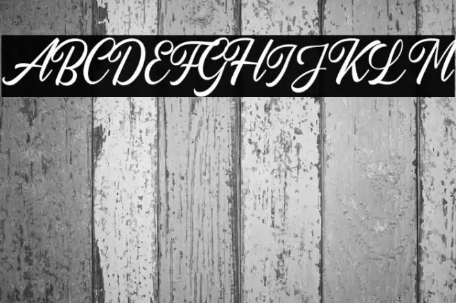 AutogateDEMO Font examples