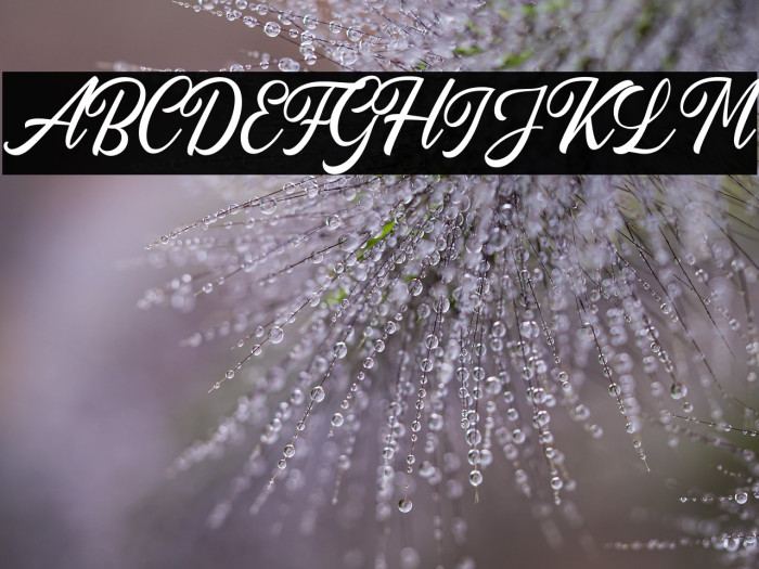 AutogateDEMO Example 2