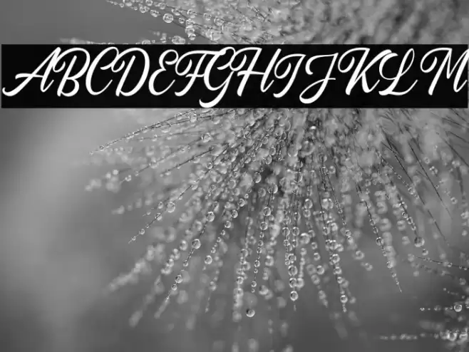 AutogateDEMO Font examples