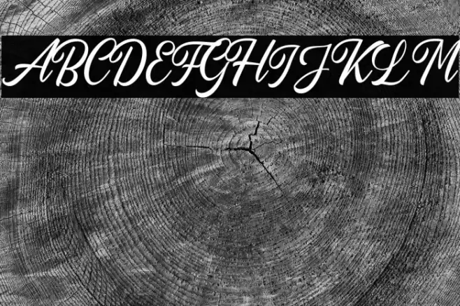 AutogateDEMO Font examples