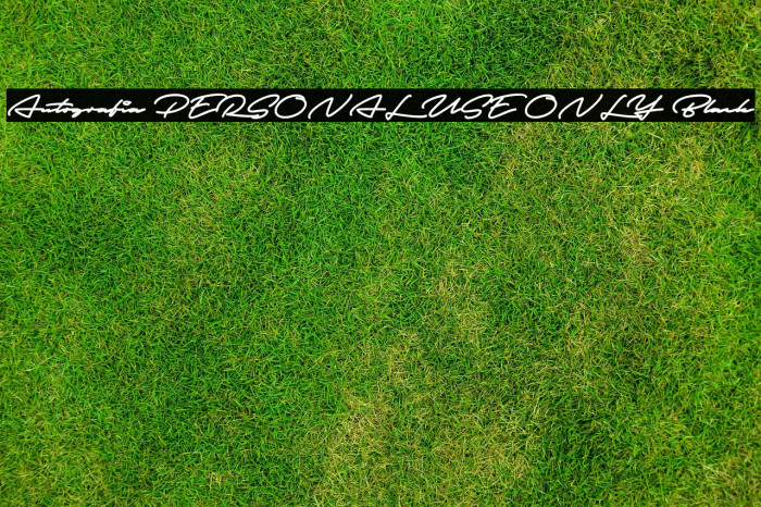 Autografia PERSONAL USE ONLY Black Example 2