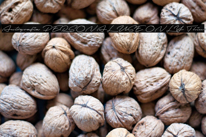 Autografia PERSONAL USE ONLY Thin Example 2