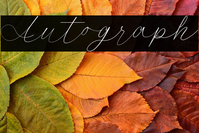 Autograph Example 3