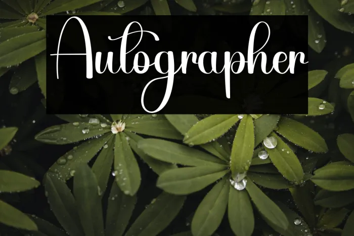 Autographer Example 2