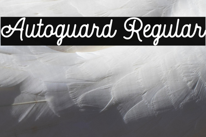 Autoguard Regular Example 1