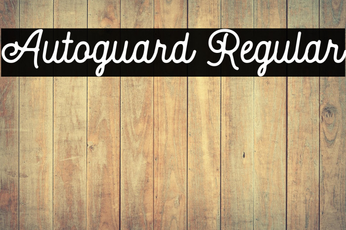 Autoguard Regular Example 2
