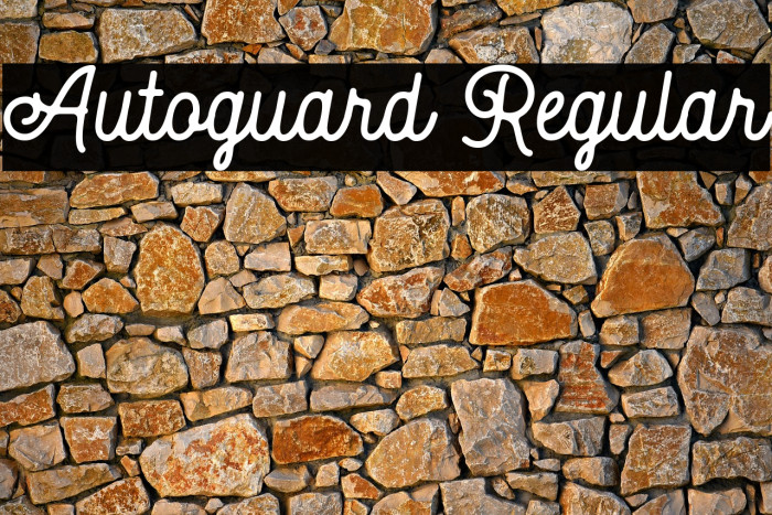 Autoguard Regular Example 3