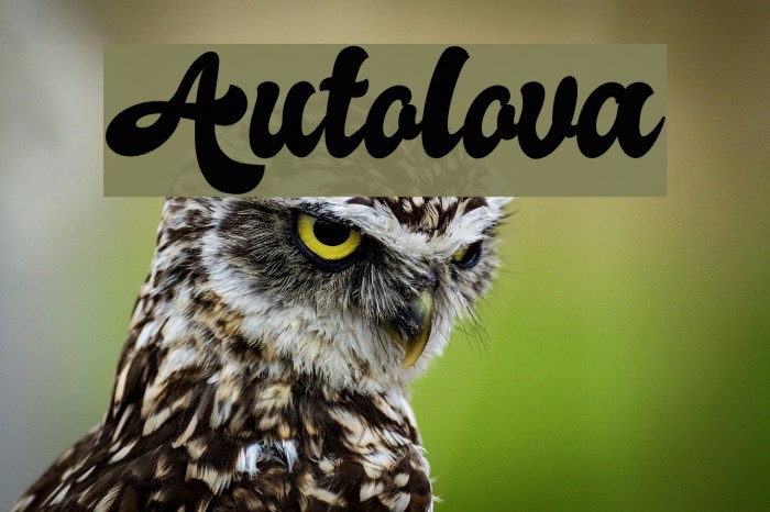 Autolova Font - FFonts.net