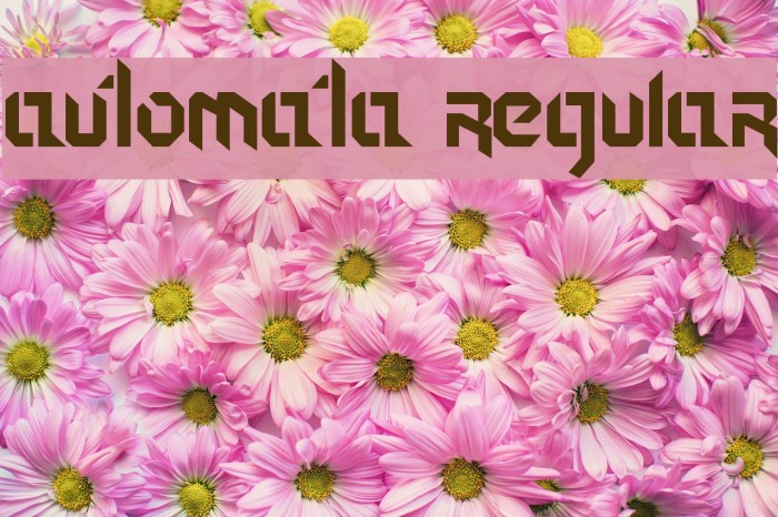 Automata Regular Font examples