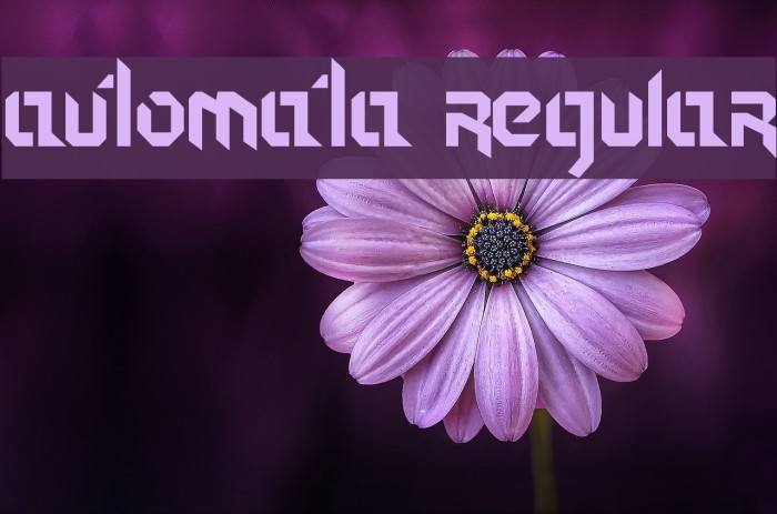 Automata Regular Font examples