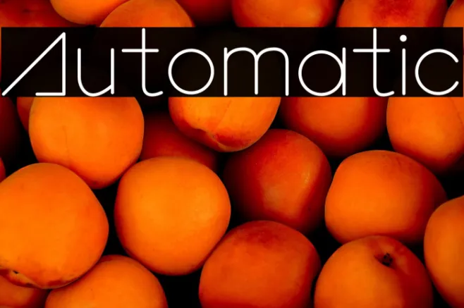 Automatic Example 2