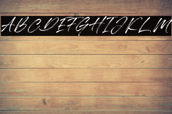 Automobile Contest Example 1