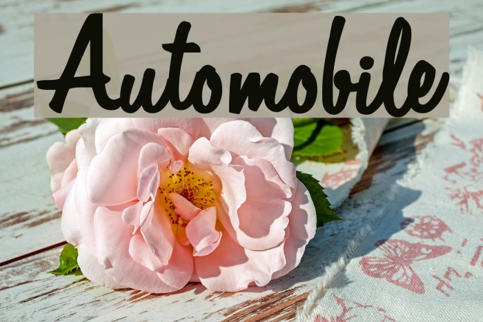 Automobile फ़ॉन्ट examples