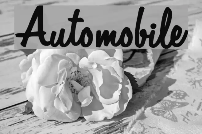 Automobile Fonte examples