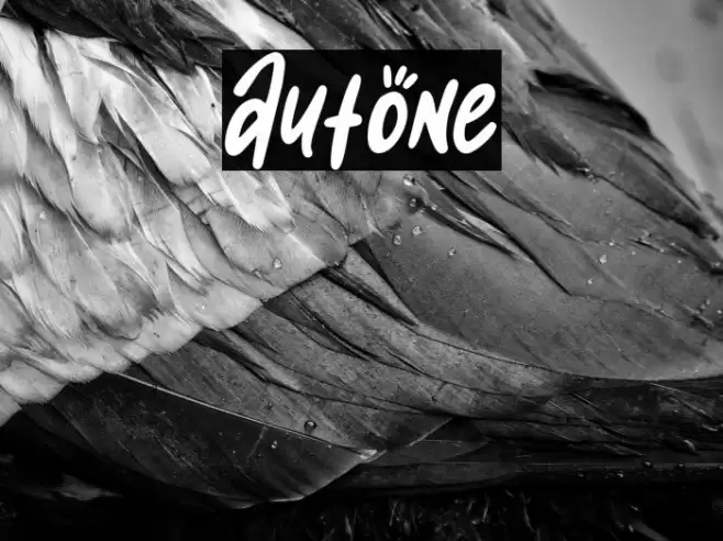 Autone Font examples