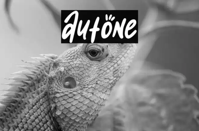 Autone Font examples