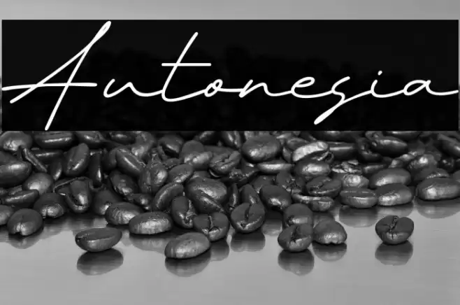 Autonesia خط examples