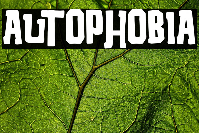 Autophobia Example 1