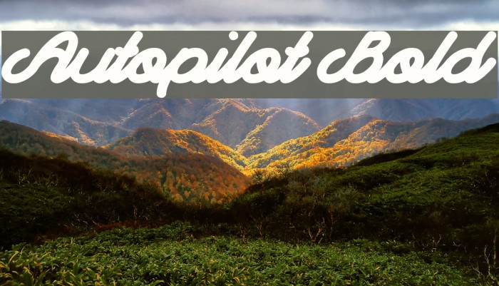 Autopilot Bold Font examples