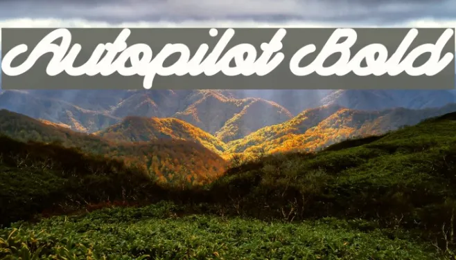 Autopilot Bold Example 1