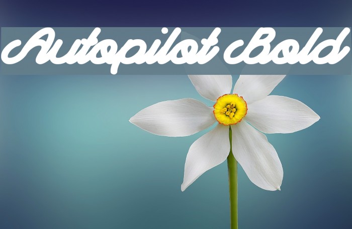 Autopilot Bold Font examples