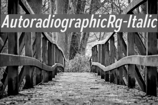 AutoradiographicRg-Italic Font examples