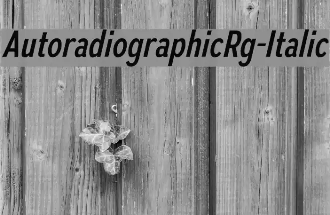 AutoradiographicRg-Italic Font examples