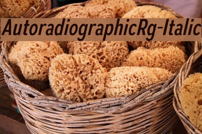 AutoradiographicRg-Italic Font examples