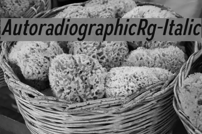 AutoradiographicRg-Italic Font examples