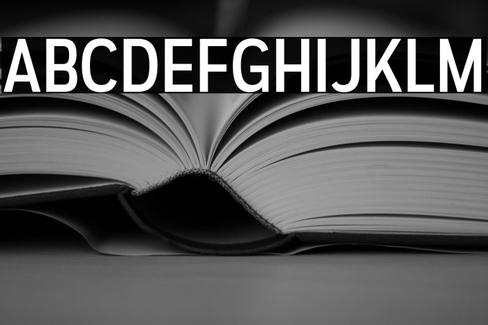 AutoradiographicRg-Regular Example 2