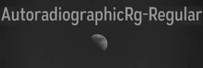 AutoradiographicRg-Regular Font examples