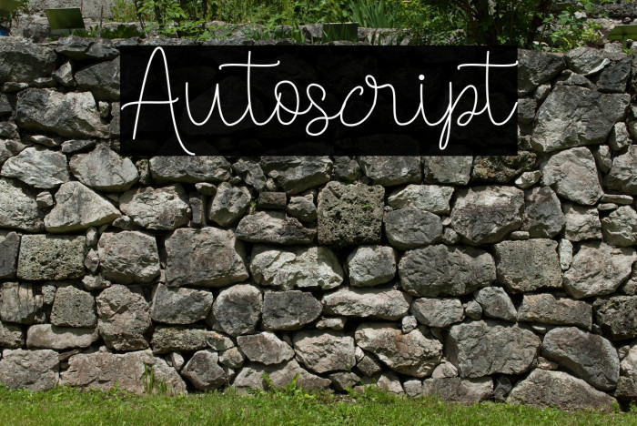 Autoscript Example 2