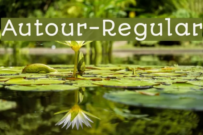 Autour-Regular Example 3