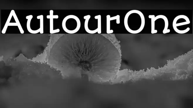 AutourOne Caratteri examples