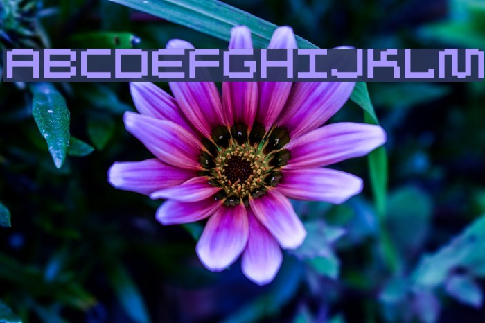 Autriche Font examples