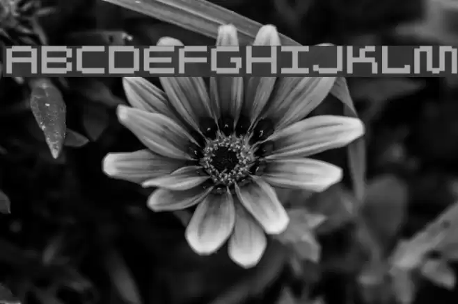 Autriche Font examples